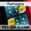 Kamagra cialis5